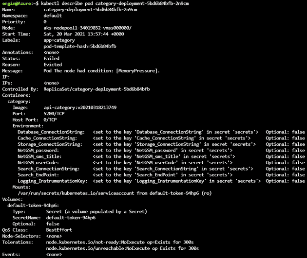 Terminal kubectl describe pod command screenshot