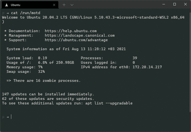 Content of the /run/motd file show on Window Terminal window